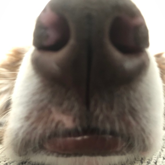 Meet your Posher, Evan - Picture 1 of 1